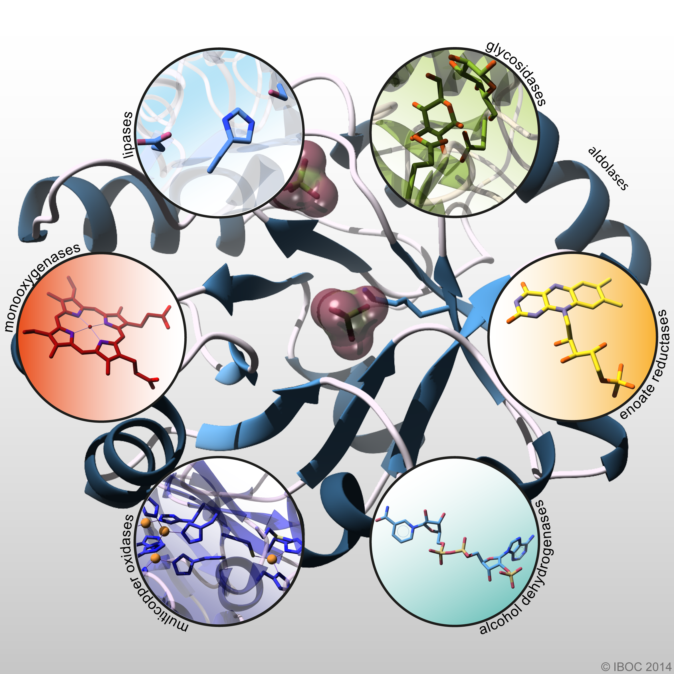 Bioorganic Chemistry of Enzymes